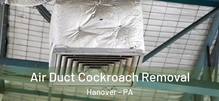  Air Duct Cockroach Removal Hanover - PA