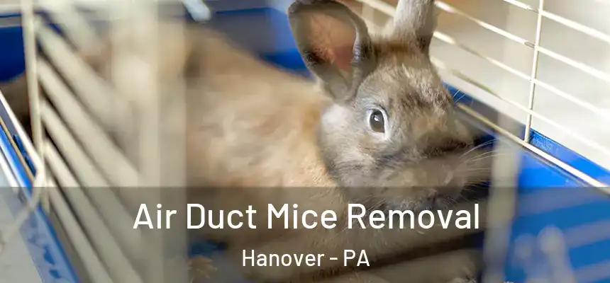 Air Duct Mice Removal Hanover - PA