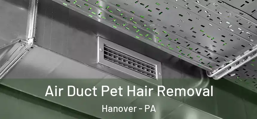  Air Duct Pet Hair Removal Hanover - PA