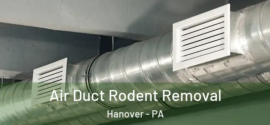  Air Duct Rodent Removal Hanover - PA