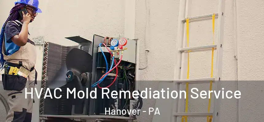  HVAC Mold Remediation Service Hanover - PA