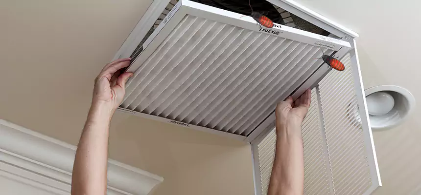 Preventive Cockroach-Proofing for Ducts in Hanover