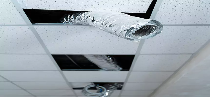 Affordable HVAC Sanitizing After Pest Removal in Hanover