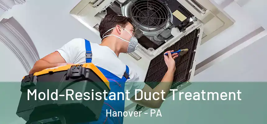  Mold-Resistant Duct Treatment Hanover - PA