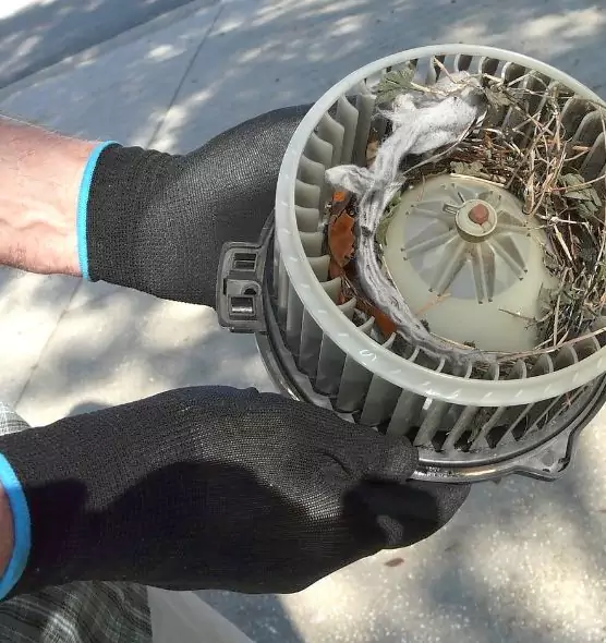 About Air Duct Rat Removal in Hanover, PA