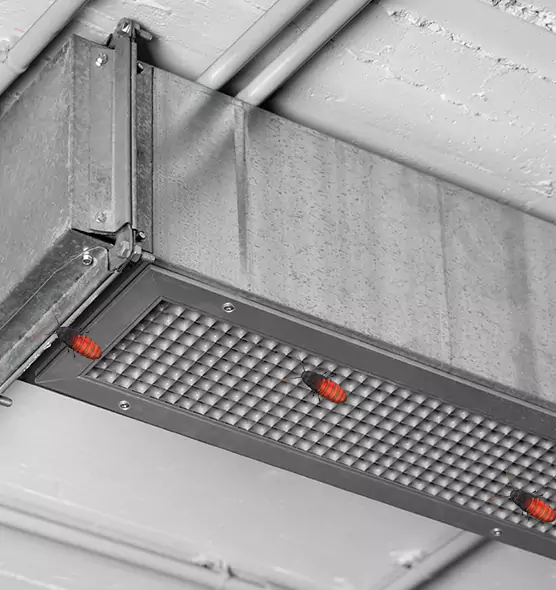 Affordable Insect Removal from Air Ducts in Hanover, PA